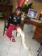 long leg